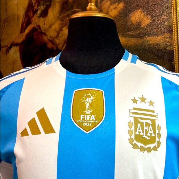 Argentina Adidas Jersey 2024 Messi 10 NWT ⚽️🏆⭐️⭐️⭐️🇦🇷 - Picture 1 of 15